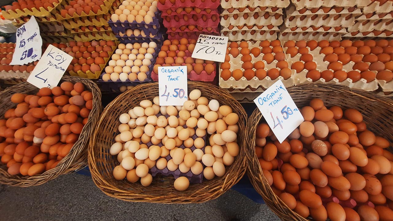 Yumurta Fiyatlari Kahvaltilik Fiyatlari (4)
