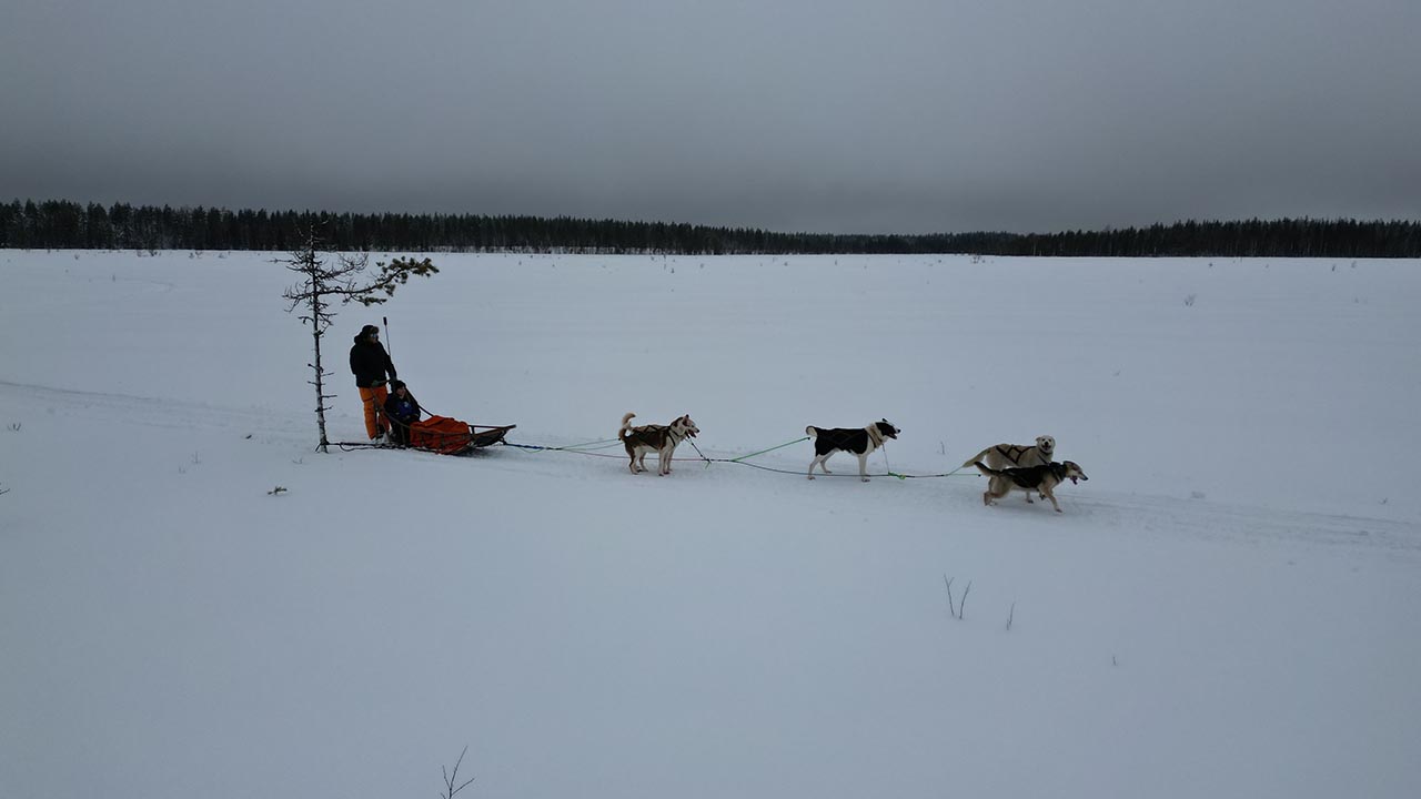 Finlandiya Ulke Kutup Kar Turist Turizm Seyahat (5)