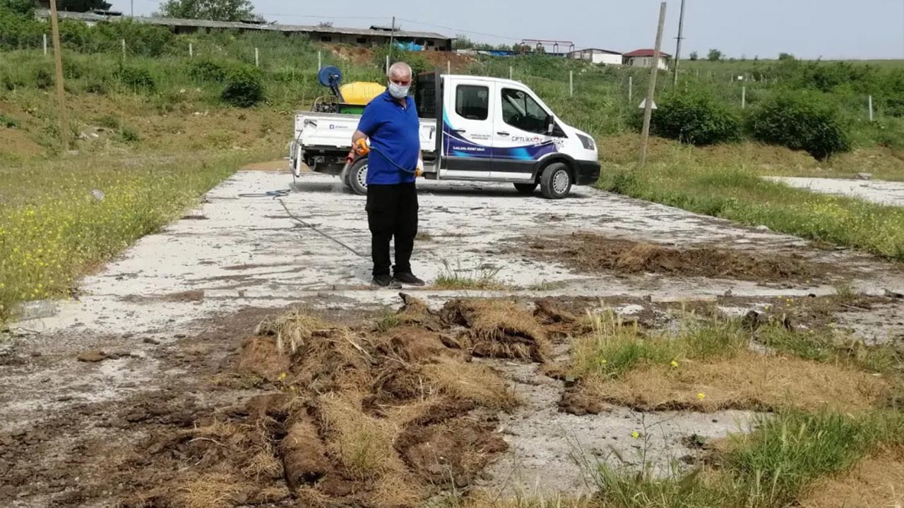 Yalova Ciftlikkoy Belediye Ilaclama Kurban Satis Kara Sinek Calisma (2)