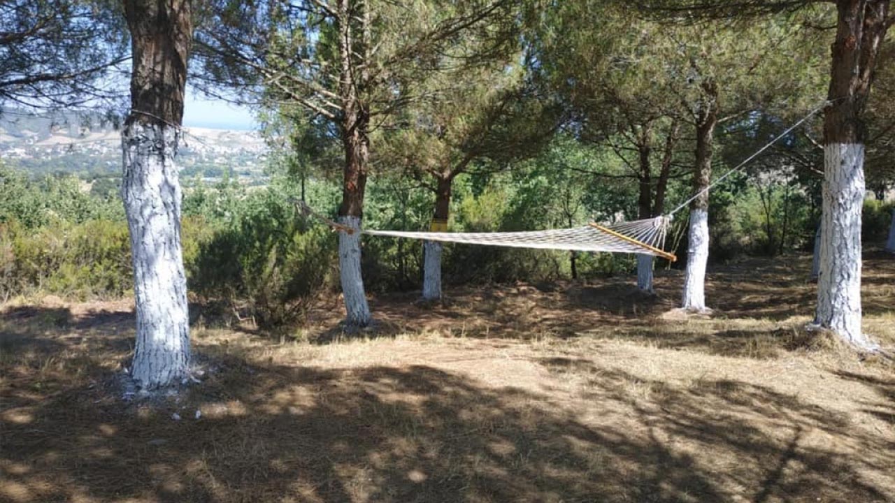 Yalova Kadikoy Belediye Baskan Onkoy Tepe Piknik Alan Yeni Sezon Acilis (3)