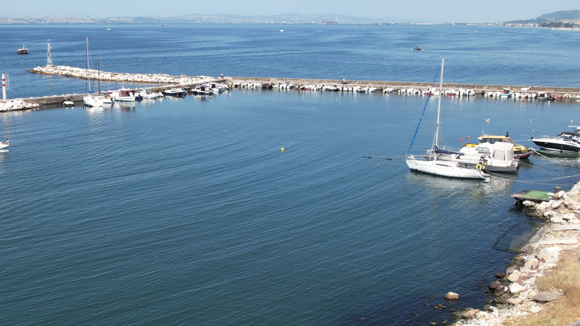 Yalova Marmara Deniz Amator Balikci Zehirli Trankonya Balik Hastane Adam Serum (5)