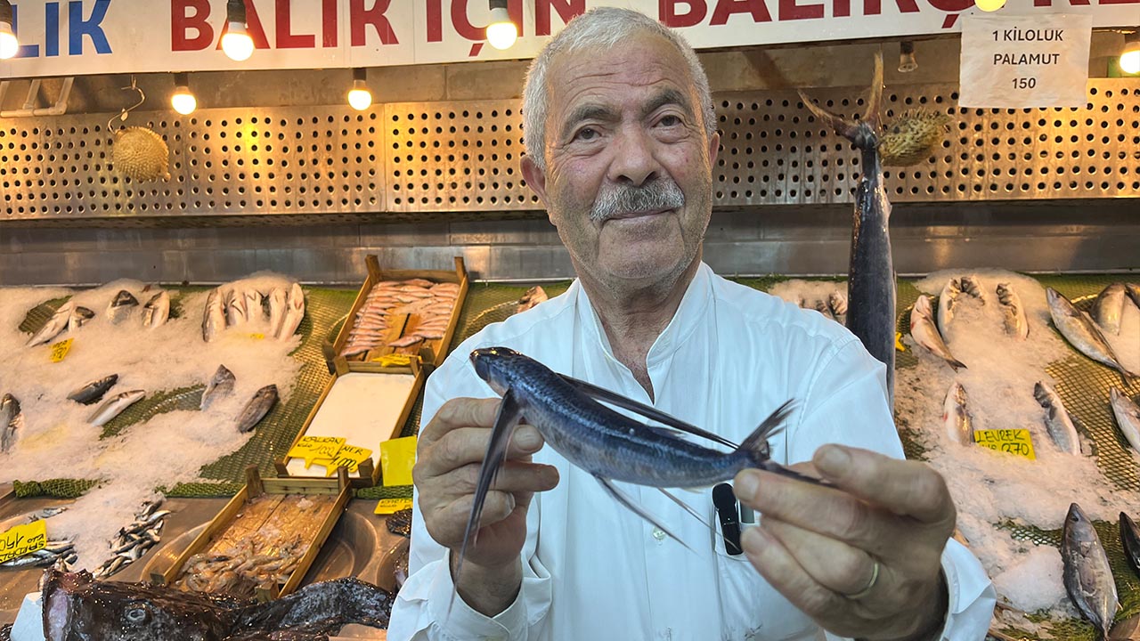 Yalova Marmara Denizi Ucak Balik Tur Yakalama (2)