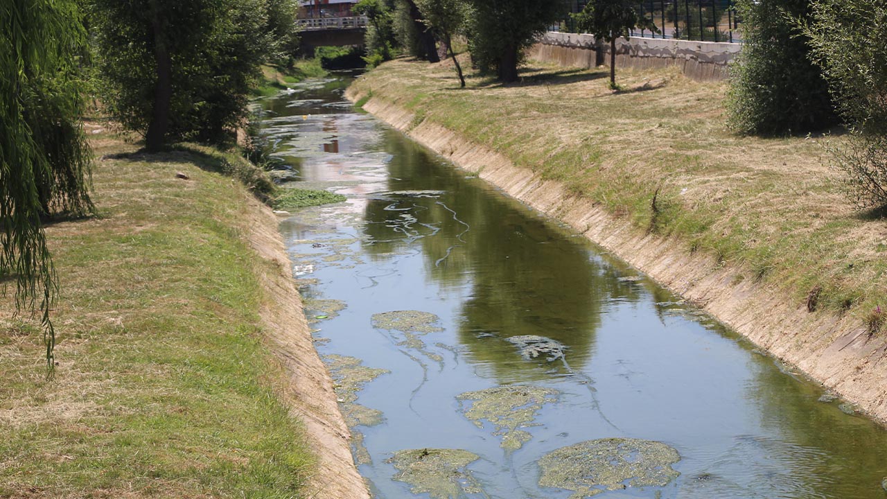 Yalova Safran Dere Su Yesil Temizlik Islah Kotu Koku (5)