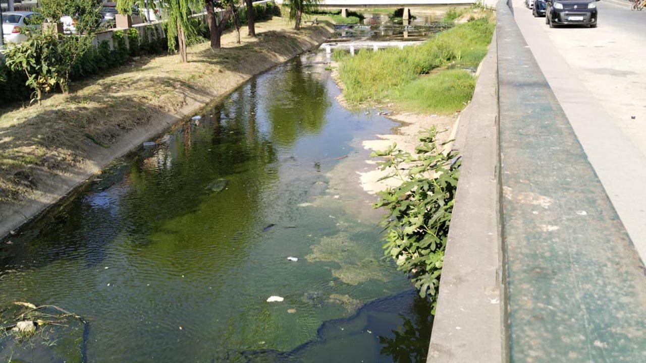 Yalova Safran Dere Temizlik Kotu Koku Sorun (2)