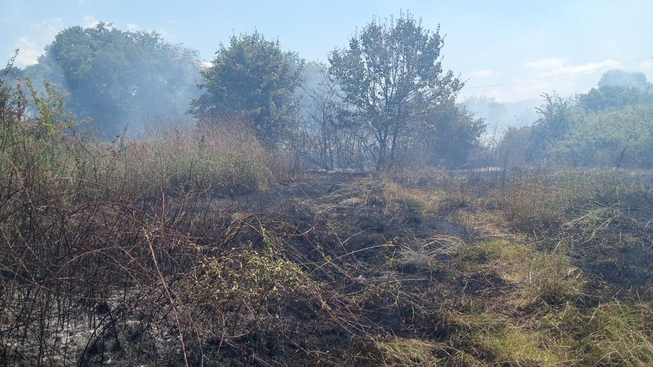 Yalova Altinova Cavusciftligi Koy Arazi Yangin Itfaiye (2)