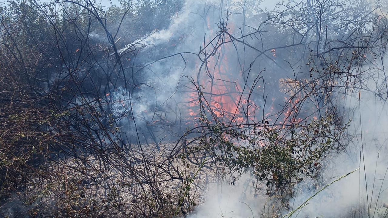 Yalova Altinova Cavusciftligi Koy Arazi Yangin Itfaiye (3)