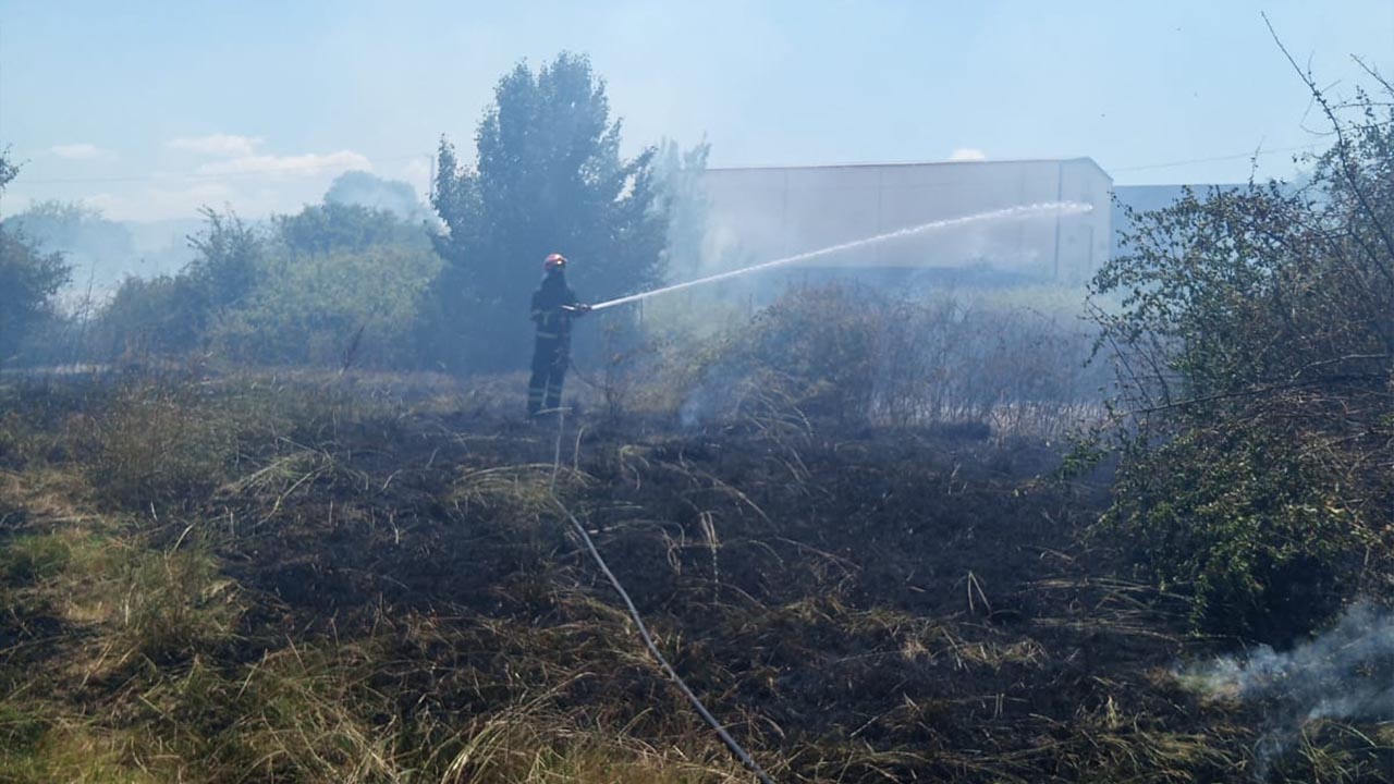 Yalova Altinova Cavusciftligi Koy Arazi Yangin Itfaiye (4)