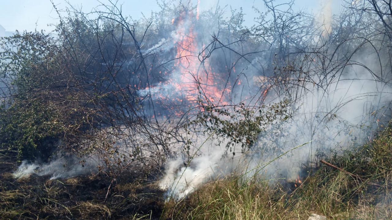 Yalova Altinova Cavusciftligi Koy Arazi Yangin Itfaiye (5)