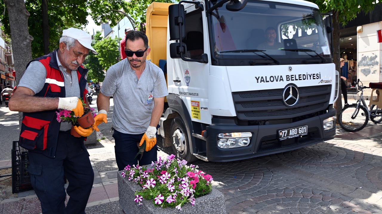 Yalova Belediye Ekip Cadde Sokak Cicek(3)