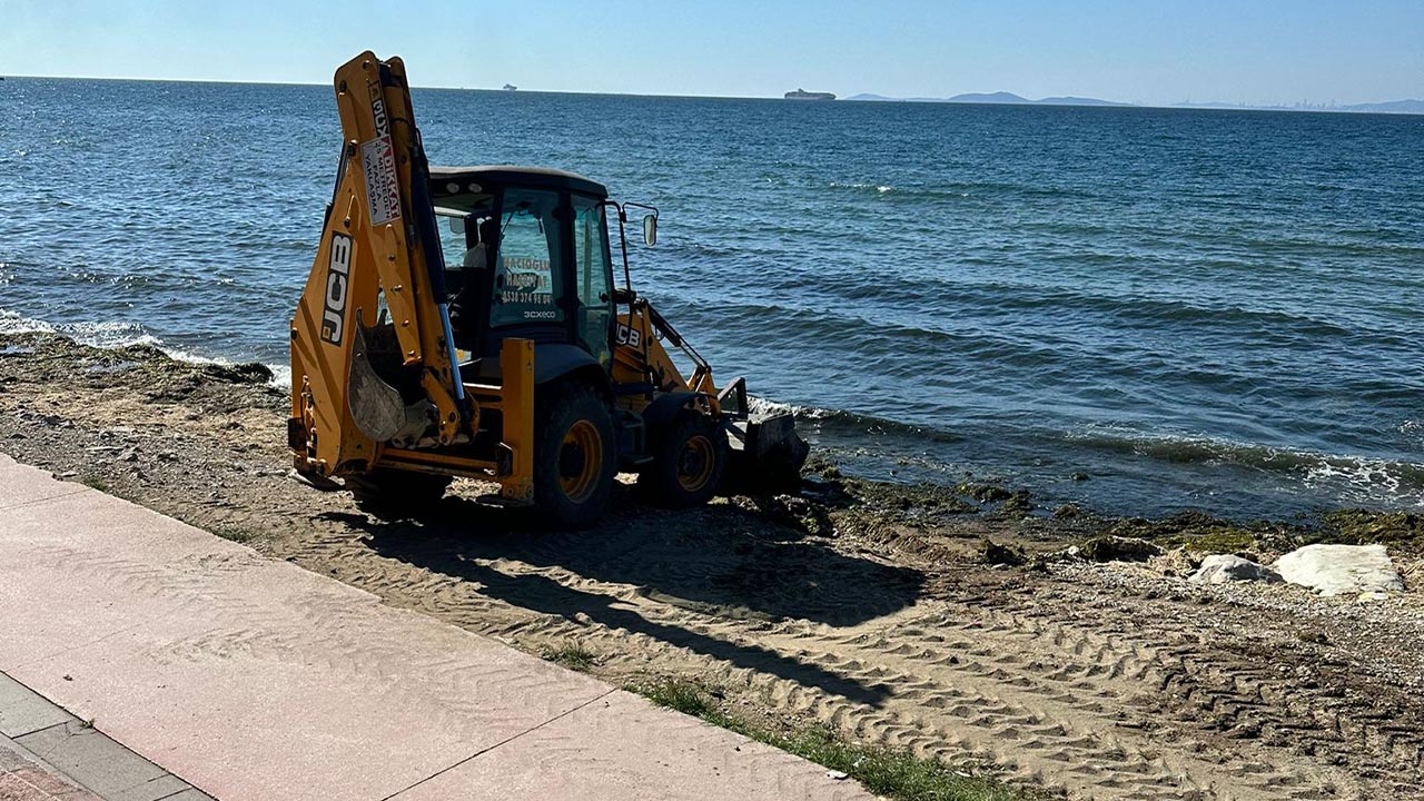 Yalova Belediye Temizlik Isleri Personel Gazipasa Cadde Akasya Plaj (2)