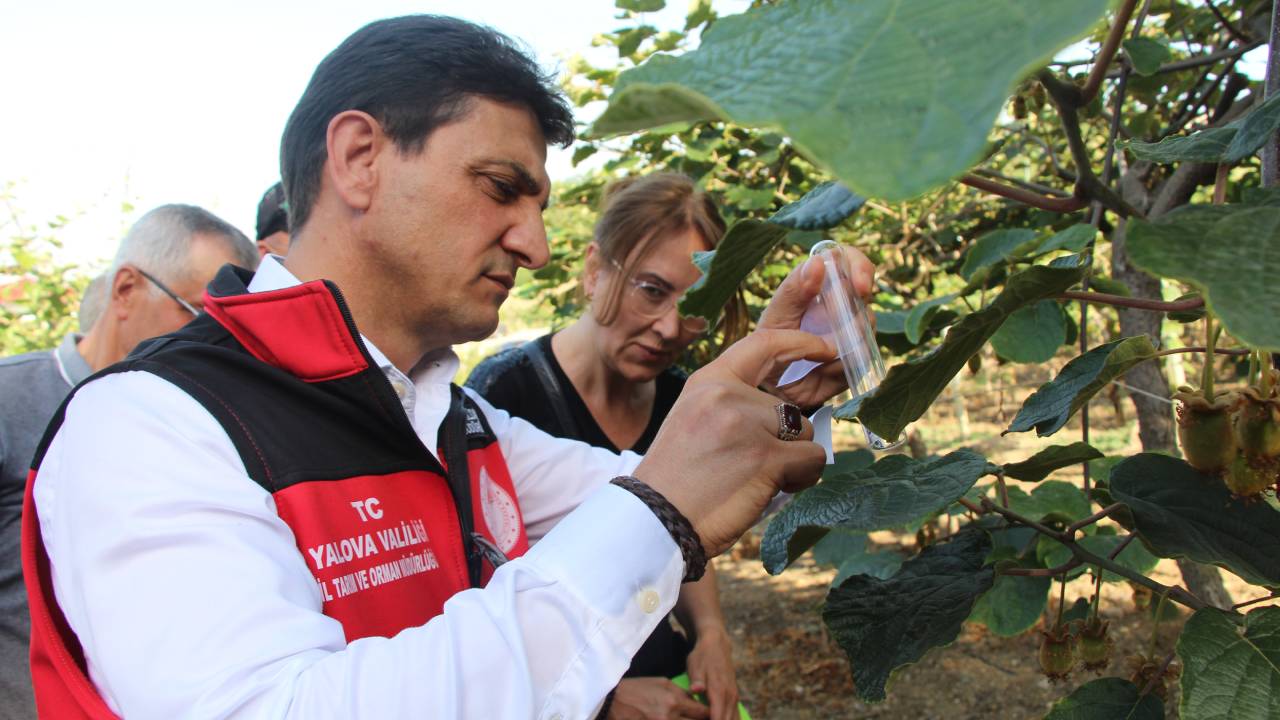 Yalova Tarim Orman Kahverengi Kokarca Mucadele (4)