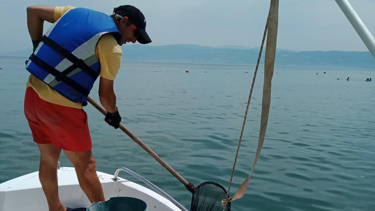 Yalova Altinova Hersek Deniz Belediye Pusula Deniz Anasi Av Temizlik (2)