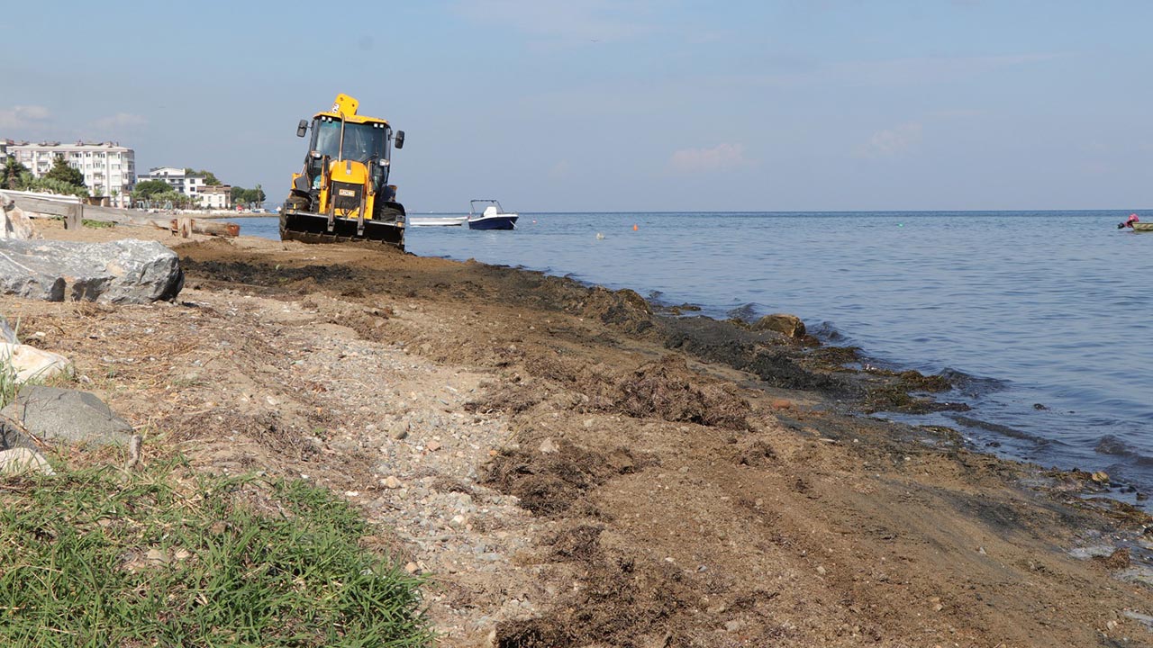 Yalova Ciftlikkoy Belediye Sahil Kenar Temizlik Calisma (4)