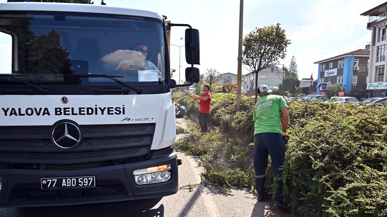 Yalova Belediye Orta Refuj Calisma (3)