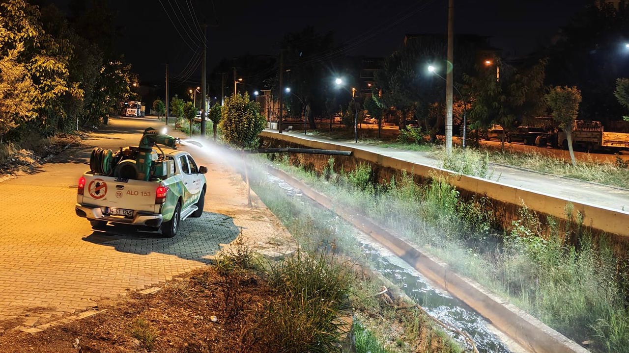 Yalova Belediyesi Veteriner Isleri Sinek Bocek Ilaclama (5)