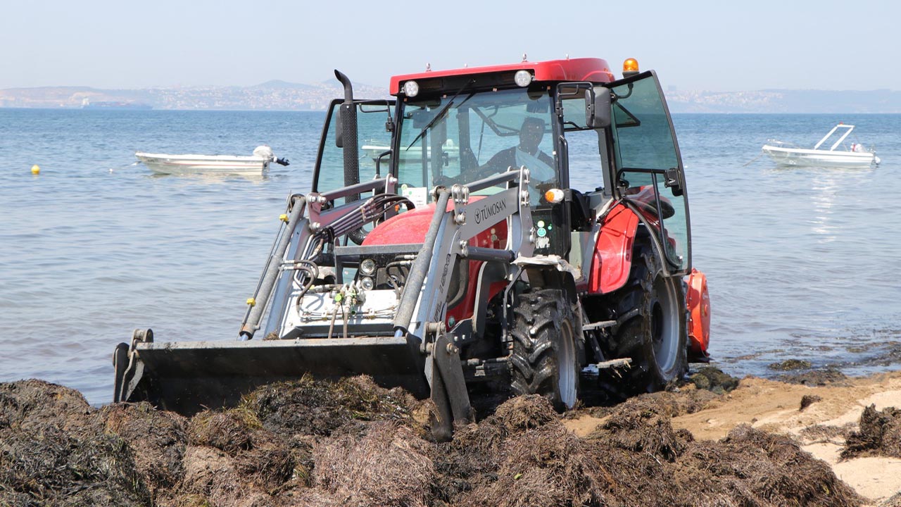 Yalova Ciftlikkoy Belediye Temizlik Yosun Calisma (1)