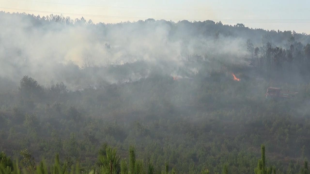 Yalova Armutlu Orman Yangın (2)