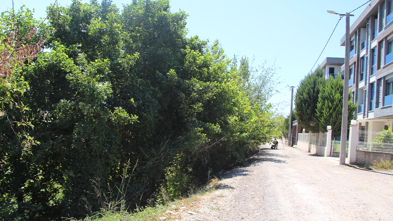 Yalova Balaban Dere Kotu Koku Temizlik Sorun Saglik Sinek (12)