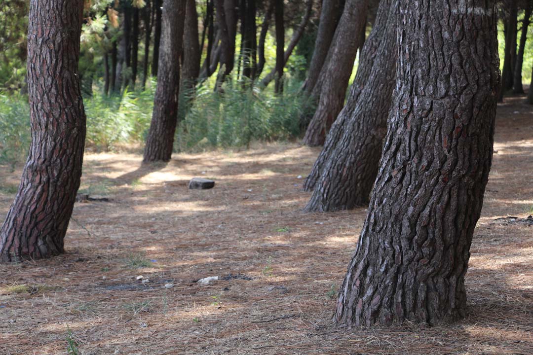 Yalova Kaytazdere Belde Belediye Baskan Projeler Aciklama Siyaset (10)