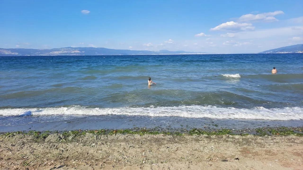 Yalova Mavi Bayrak Kultur Turizm Mudur Ziya Karatekin (2)