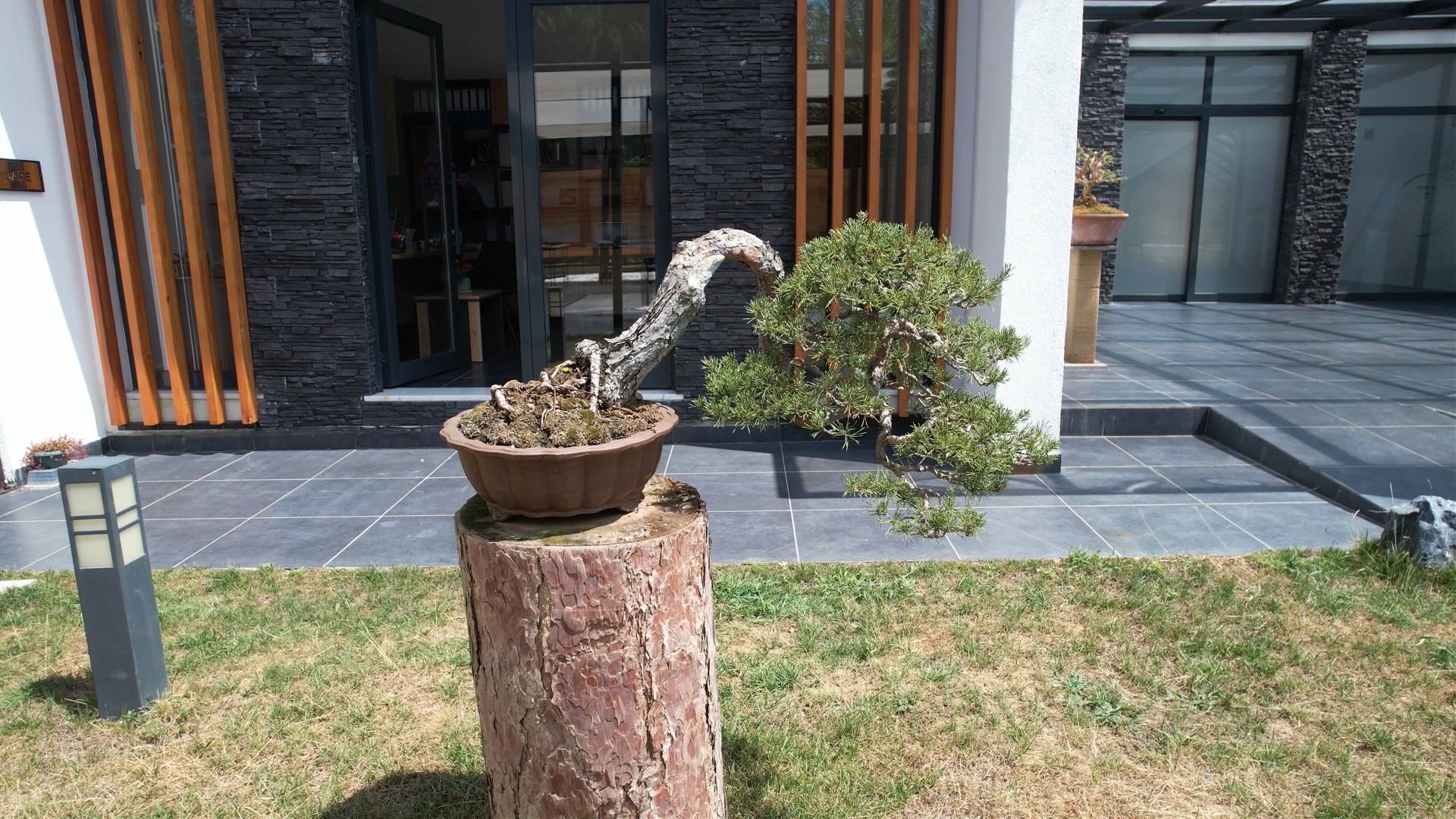 Yalova Toprak Dede Bonsai Muze (1)