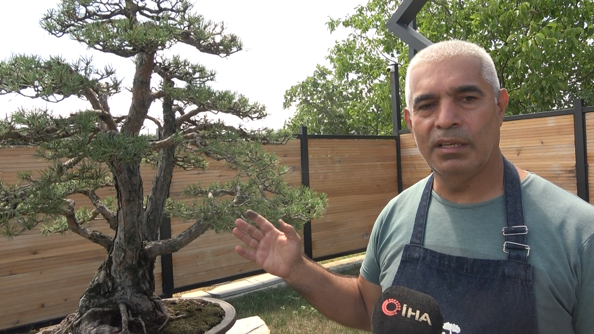 Yalova Toprak Dede Bonsai Muze (2)