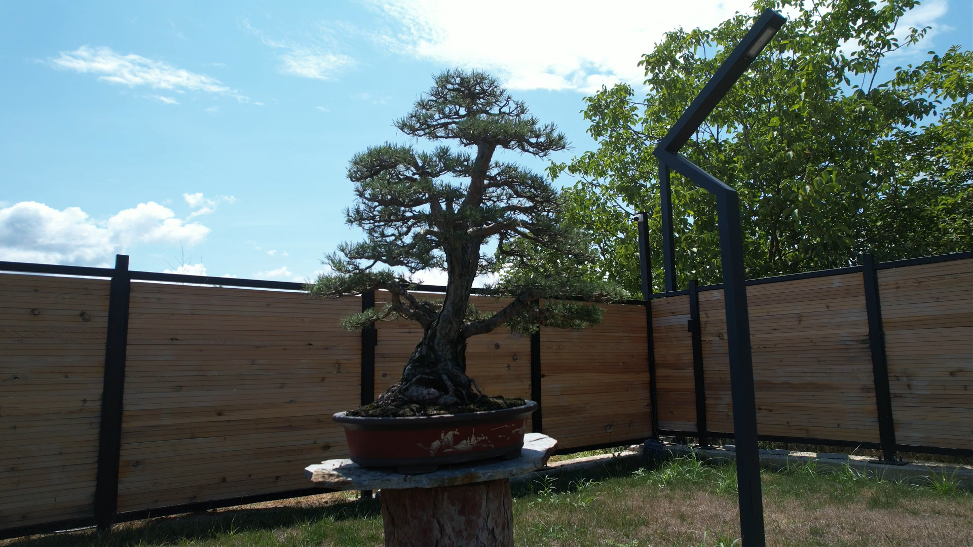 Yalova Toprak Dede Bonsai Muze (3)