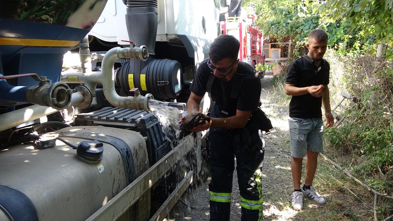 Yalova Belediye Itfaiye Yangin Kocaeli Kaplumbaga (2)