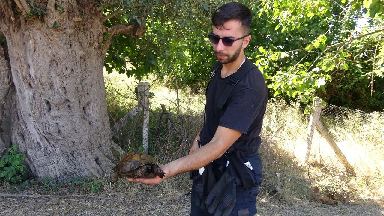 Yalova Belediye Itfaiye Yangin Kocaeli Kaplumbaga (5)