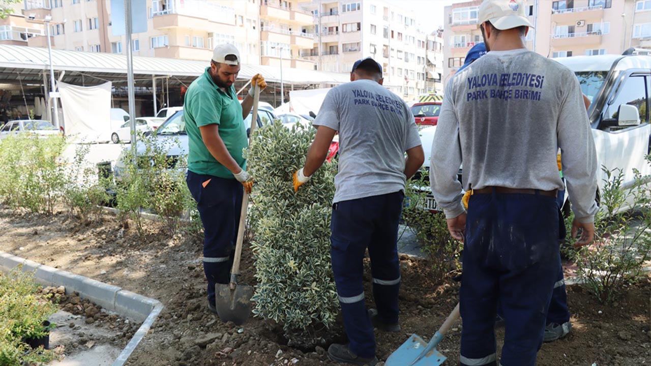 Yalova Belediye Mahackale Park Calisma Cevre Duzenleme (3)-1