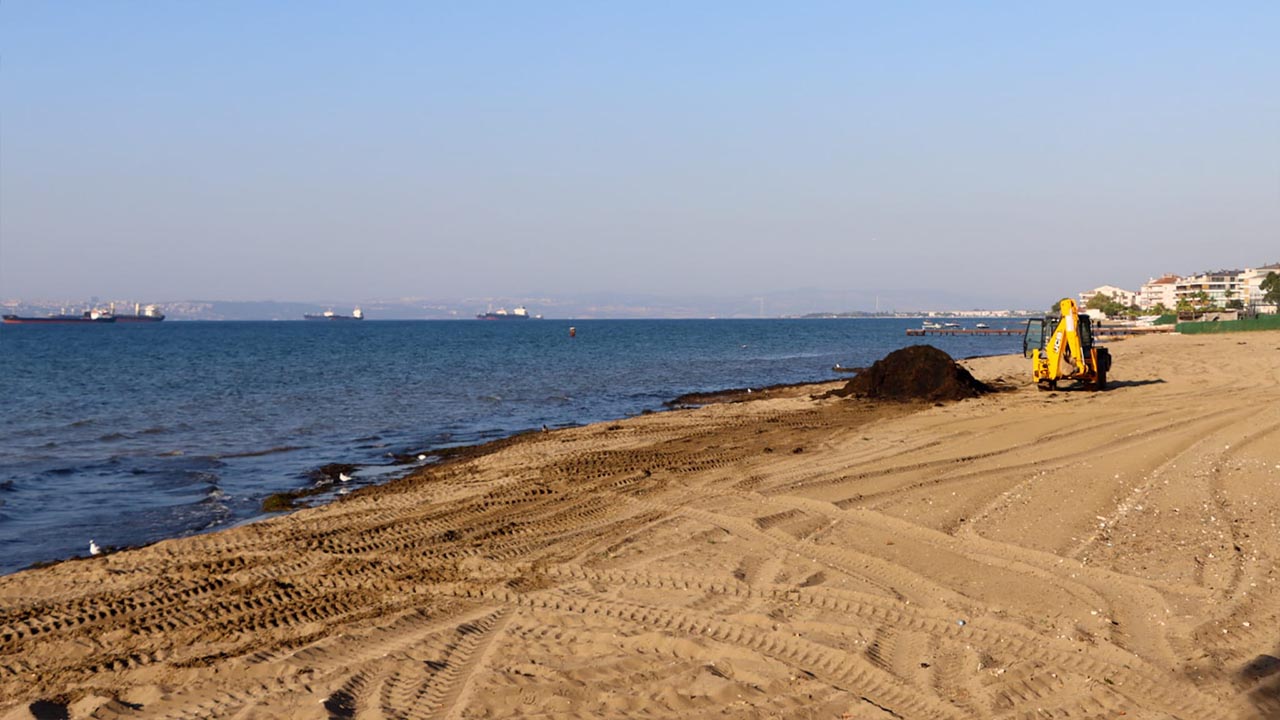 Yalova Belediye Temizlik Isleri Kumsal Plaj Calisma (4)