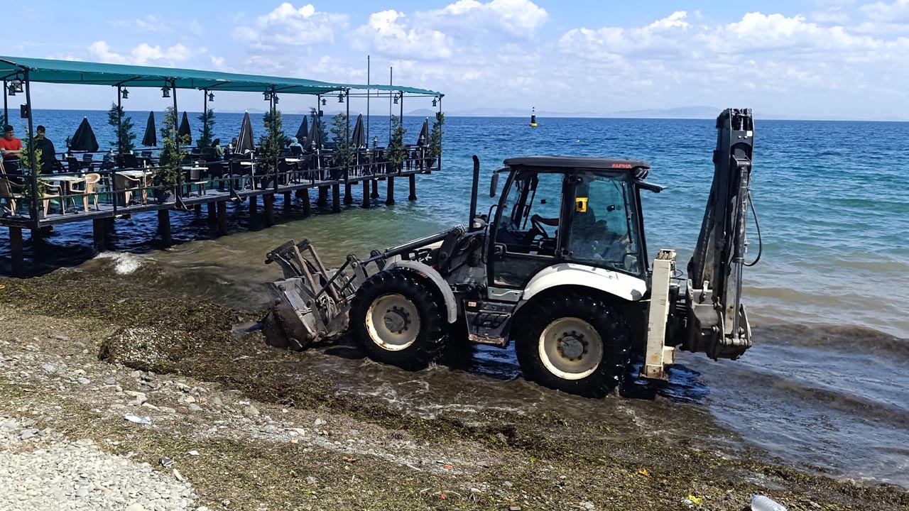 Yalova Cinarcik Belediye Karpuzdere Mahalle Temizlik Yosun (4)