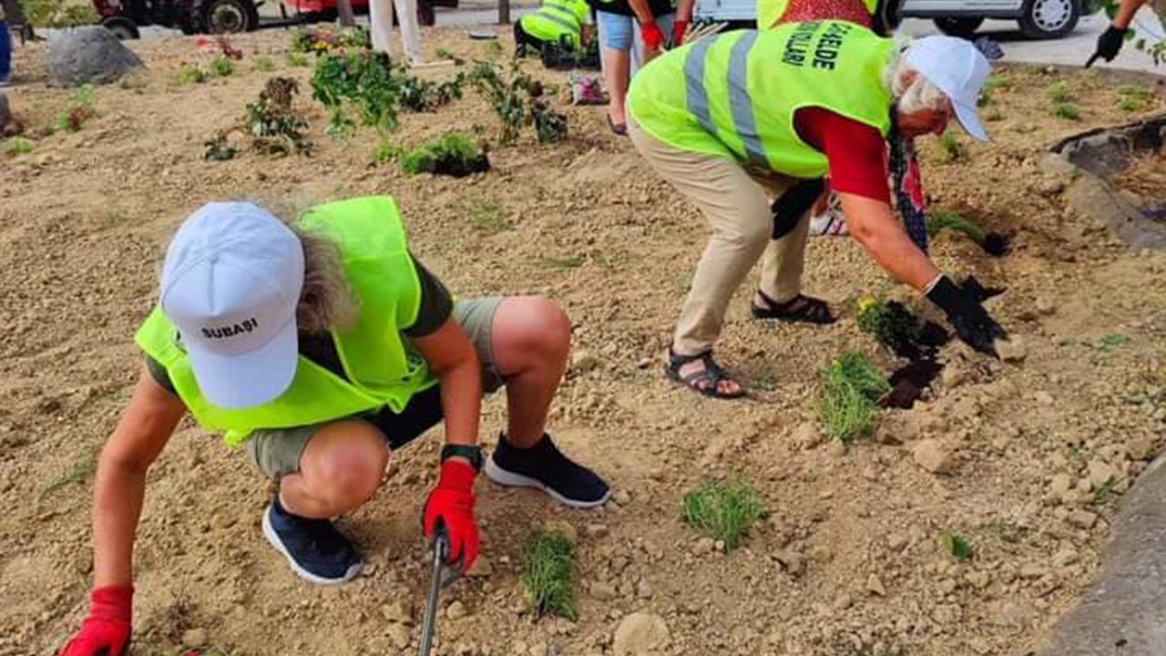 Yalova Subasi Chp Kadin Kollari Baris Park Temizlik (4)