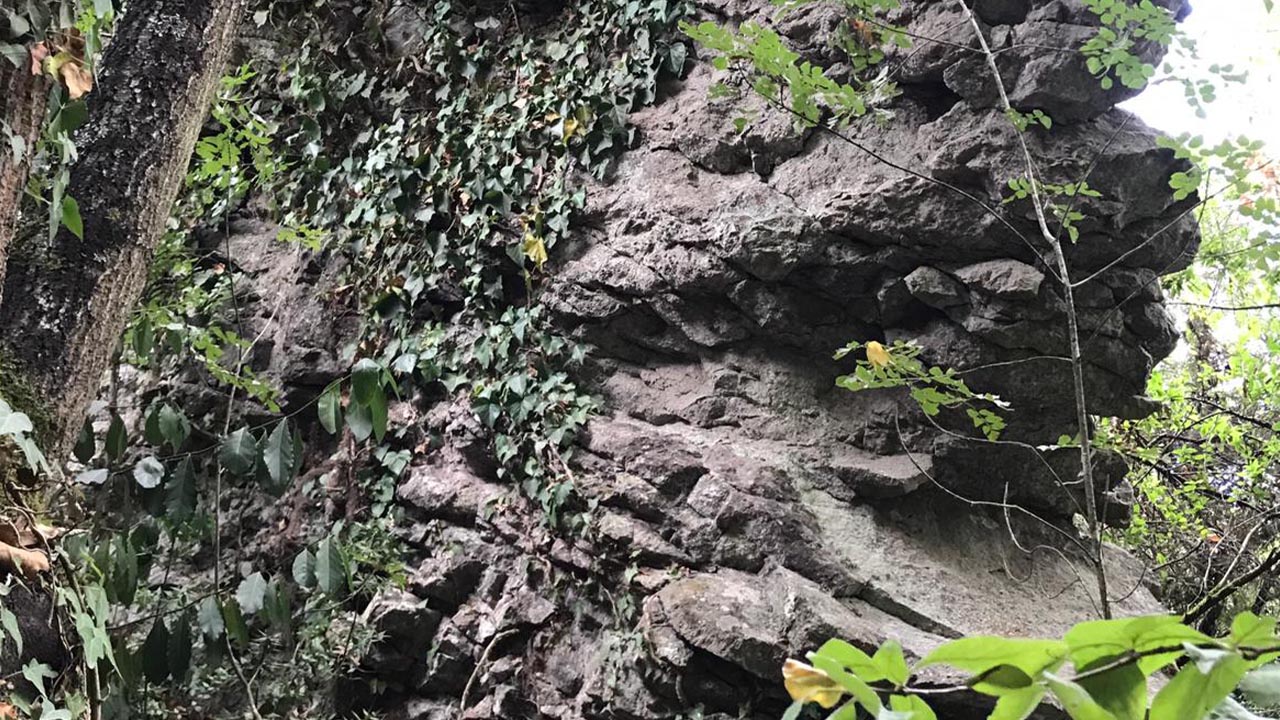 Yalova Il Genel Meclis Baskan Kultur Bineva Baba Tarih