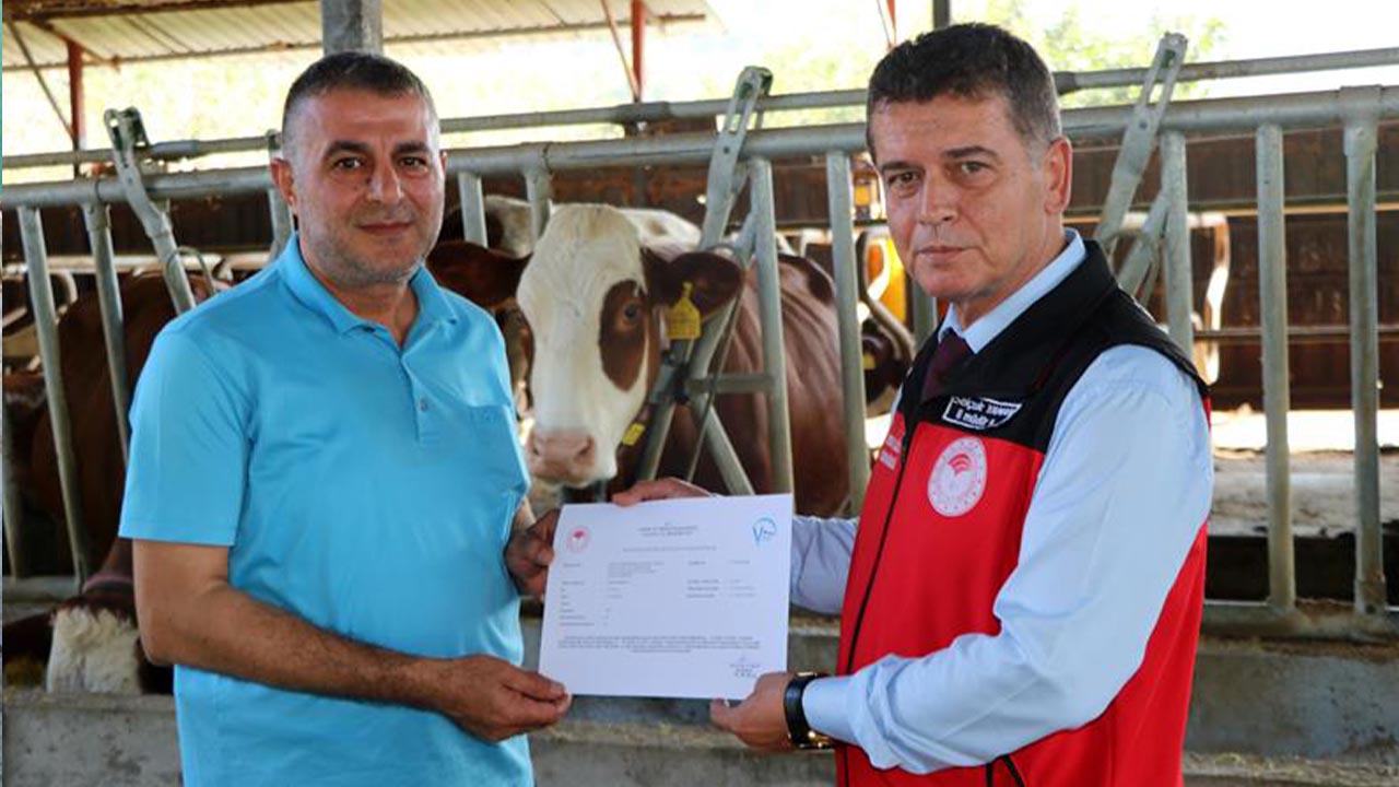 Yalova Il Tarim Orman Ari Isletme Sertifika Buyukbas (5)