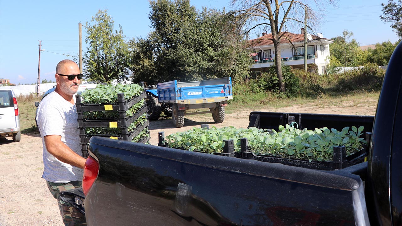 Yalova Il Tarim Orman Bakanlik Kazimiye Kadikoy Kara Lahana Fide Dagitim (5)