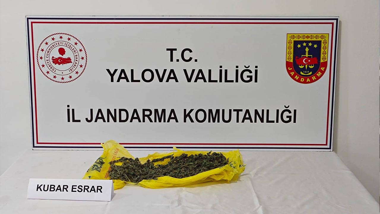 Yalova Jandarma Komutanlik Uyusturucu Operasyon Ciftlikkoy Cinarcik Koru Tavsanli Altinova (1)