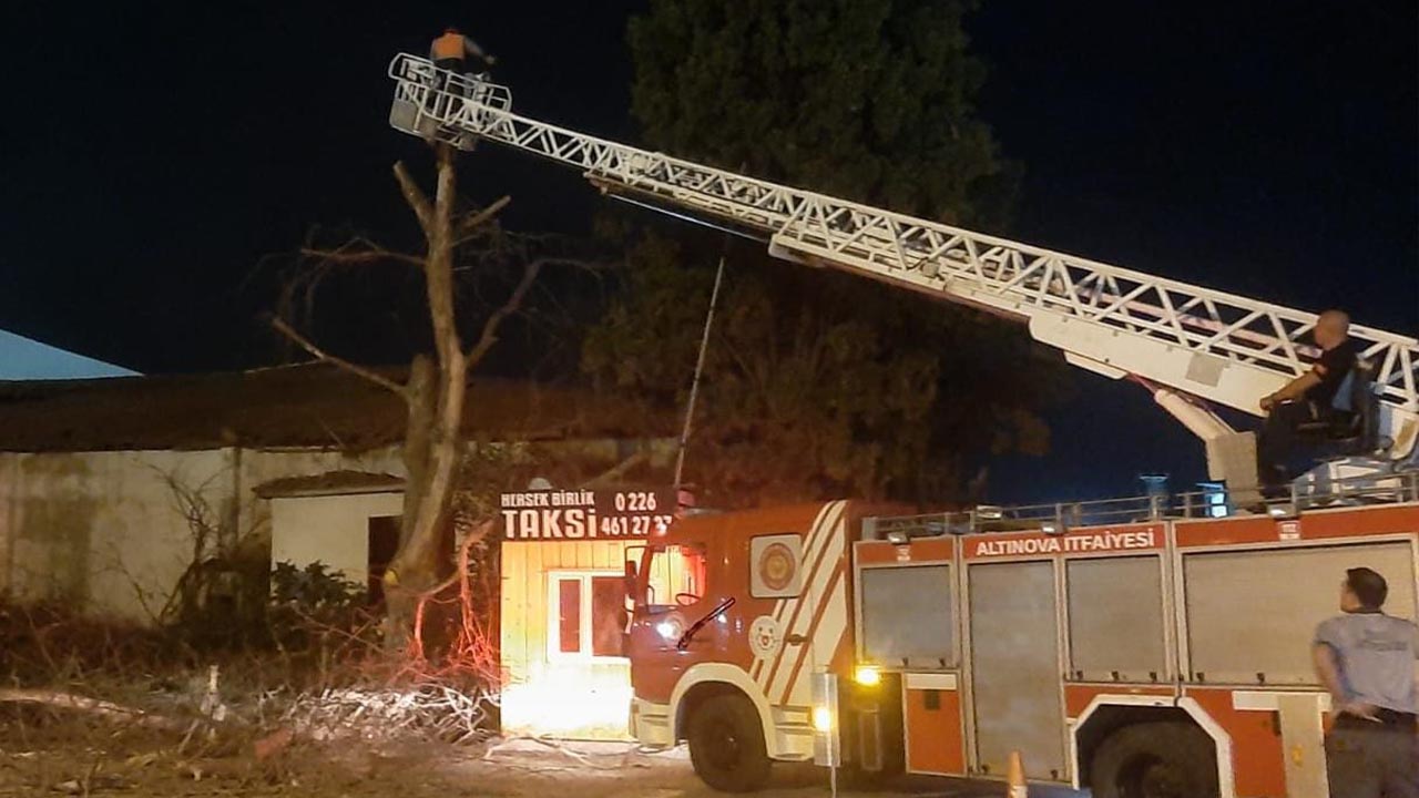 Yalova Altinova Belediye Personel Calisma Baskan Faaliyetler (5)