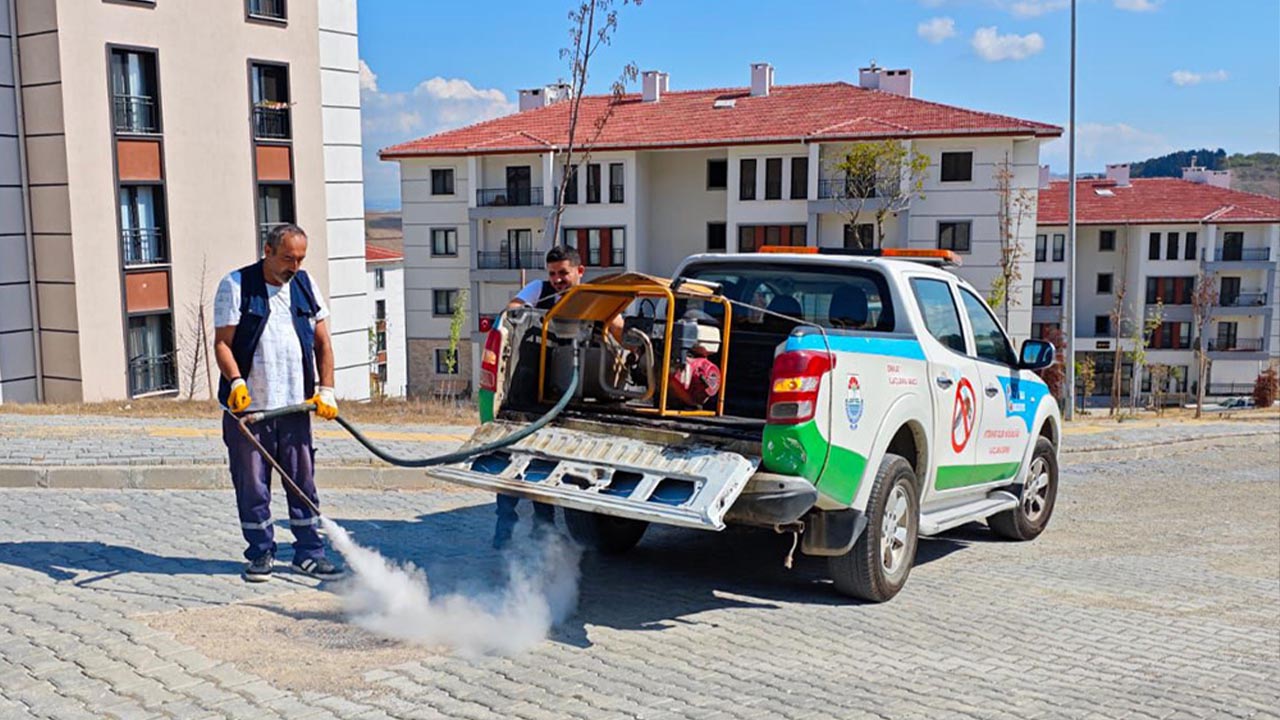 Yalova Belediye Veteriner Isleri Ilaclama Hasere (1)