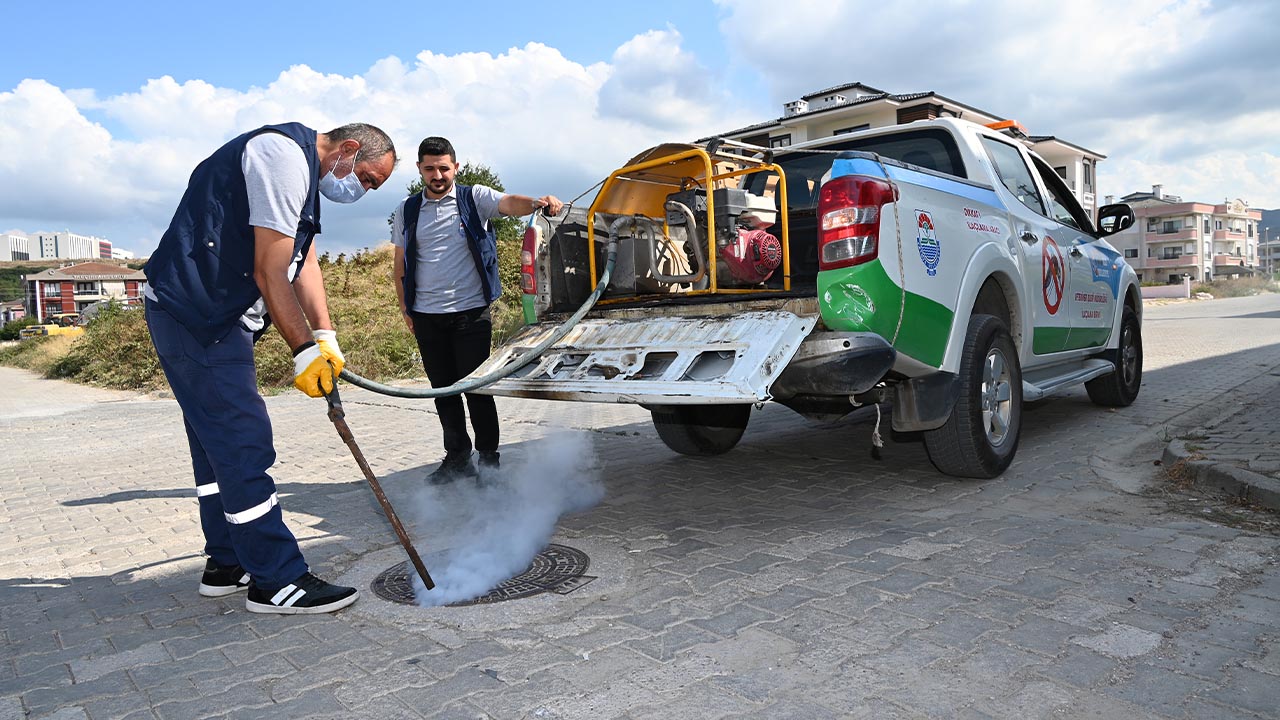 Yalova Belediye Veteriner Isleri Ilaclama Hasere (3)