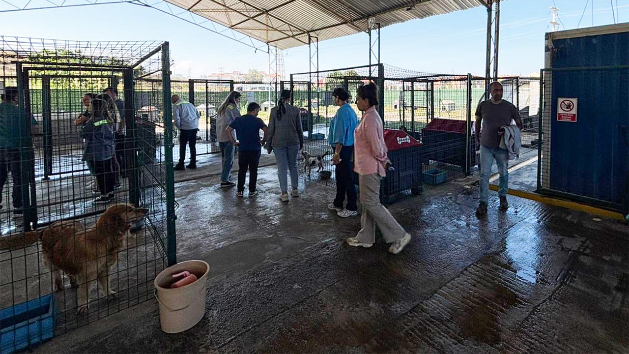 Yalova Ciftlikkoy Belediye Bakimevi Akkim Gonullu (1)