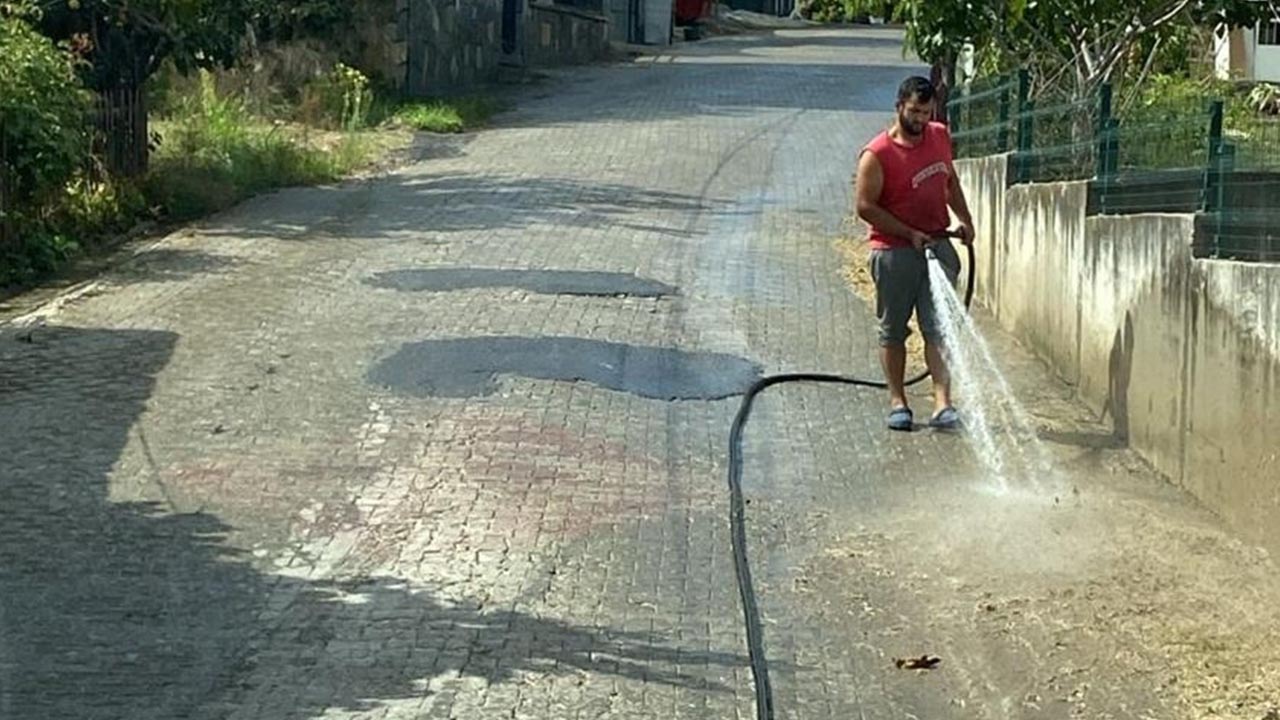 Yalova Cinarcik Ortaburun Senkoy Calica Yikama Calisma Temizlik (3)