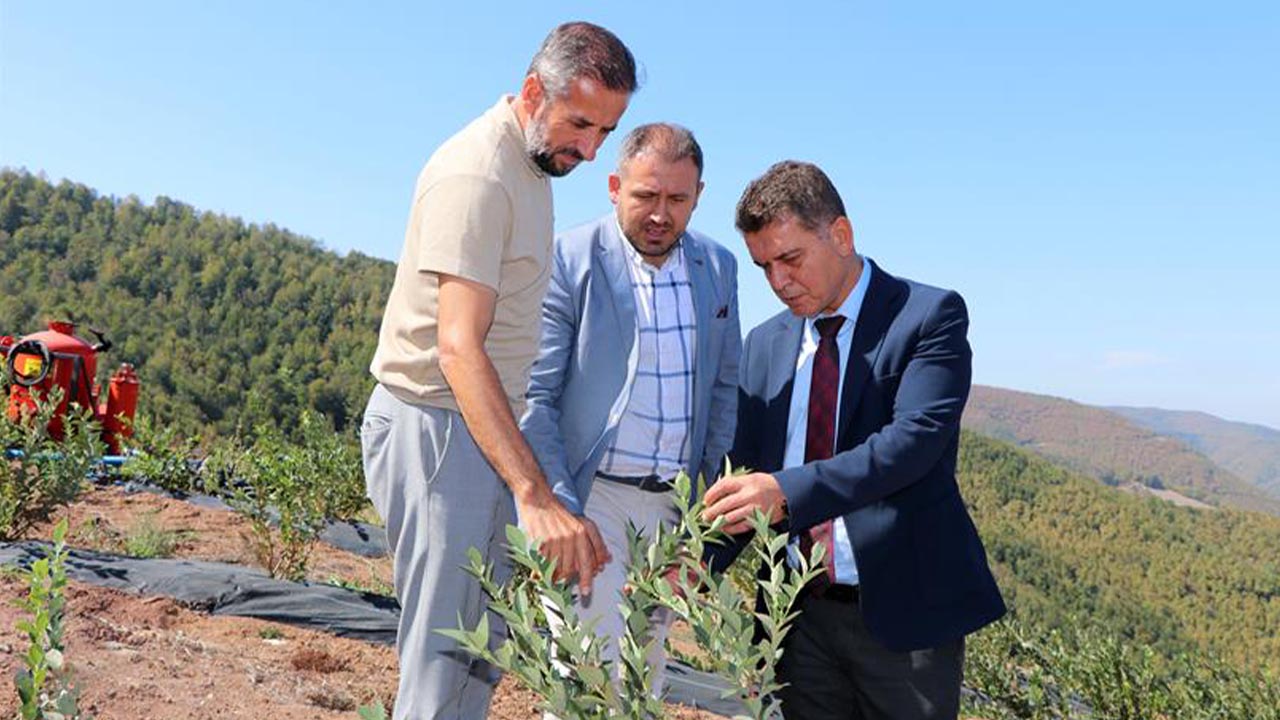 Yalova Il Tarim Orman Altinova Sermayecik Koy Mudur Selcuk Yaman (2)