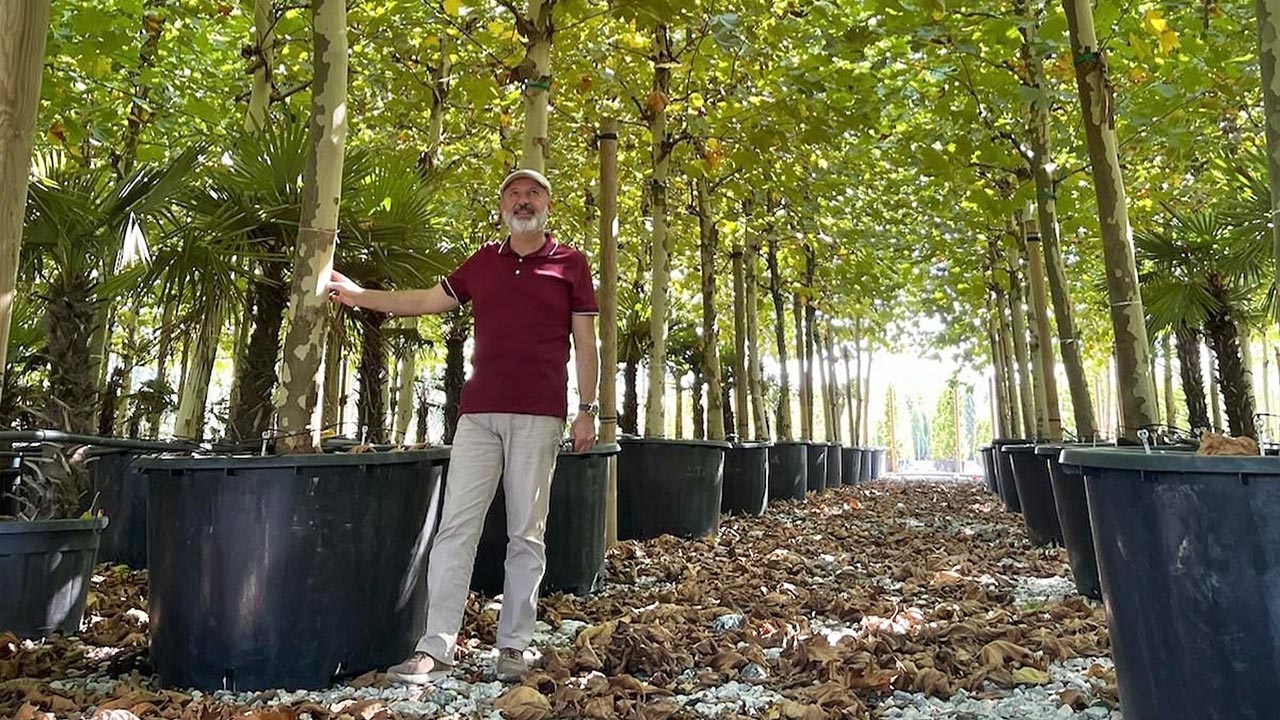 Yalova Kayseri Sakarya Kocasinan Belediye Baskan Yesil Gorunum Merkez Ilce (4)