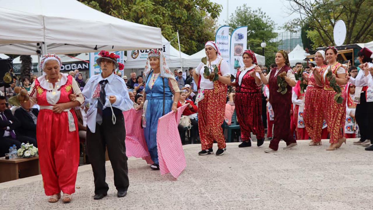 Yalova Subasi Kivi Geleneksel Festival (4)