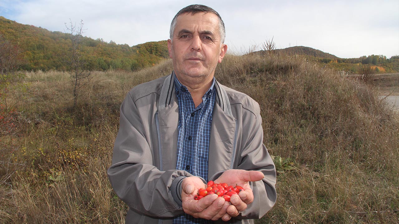 Kuşburnu Çay Yan Etki Yarar (3)