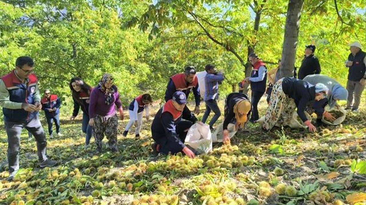 Yalova Aydin Bocek Destek (4)