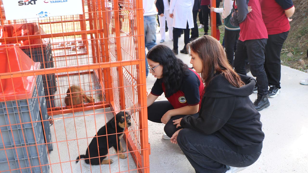 Yalova Cinarcik Bor Holding Gulumseten Yarinlar Sosyal Sorumluluk Sokak Hayvan Mama Destek (2)