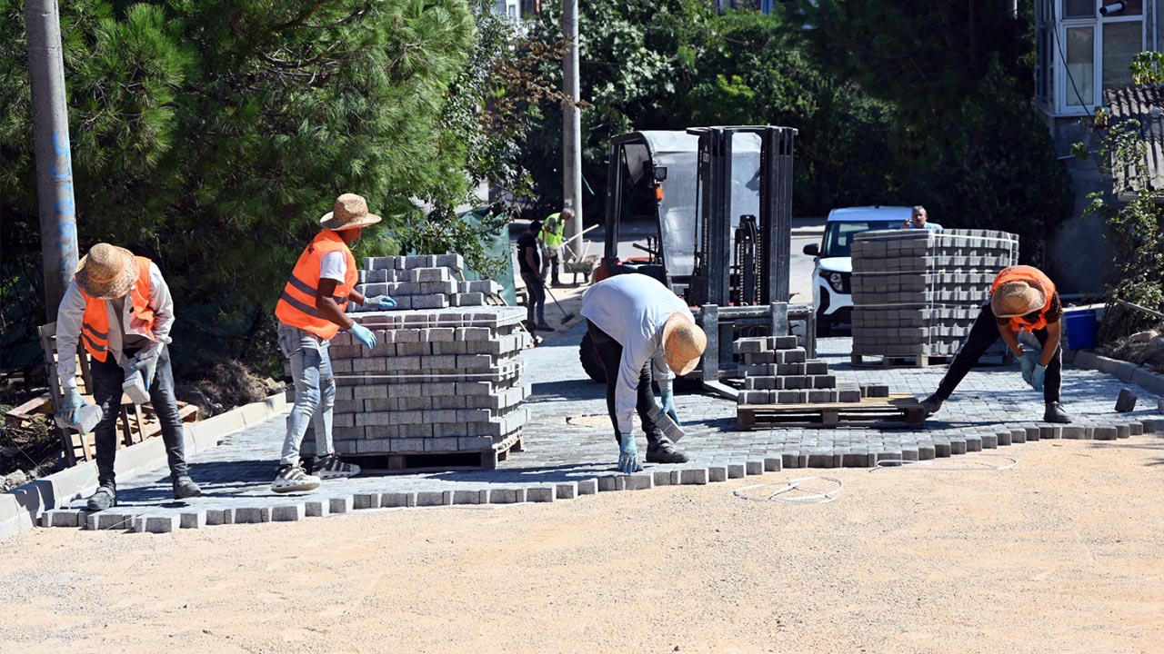 Yalova Belediye Fen Isleri Tac Sokak Ismetpasa Mahallle Parke Tas Doseme Calisma (1)