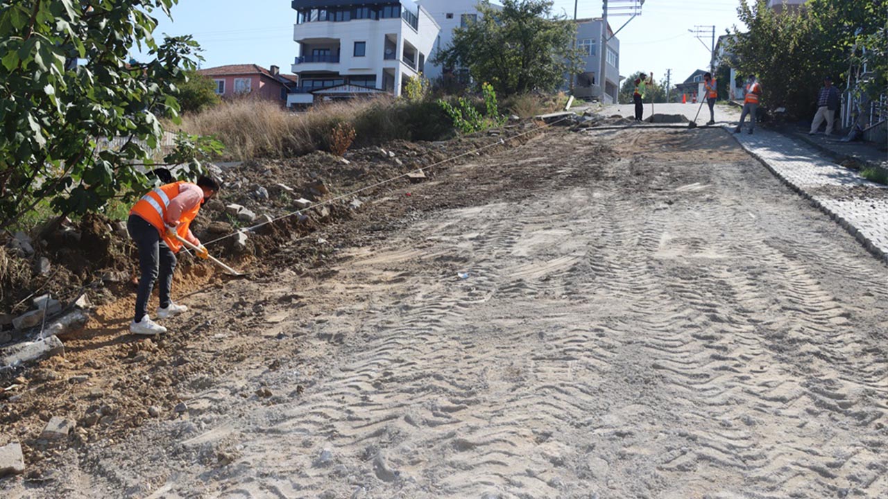 Yalova Belediye Kazim Karabekir Mahalle Rahmi Ustel Cadde Parke Asfalt Doseme (2)